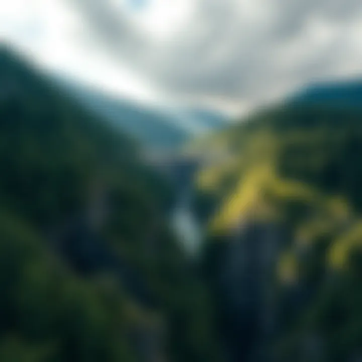 Magnificent Dam Strategy: A Comprehensive Framework for Sustainable Forestry Management