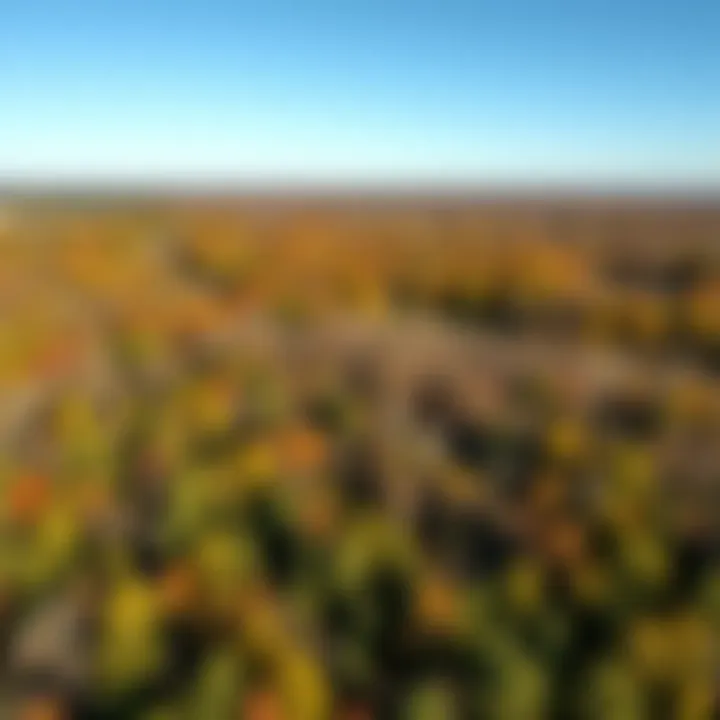 Magnificent Exploring Land Opportunities in Southeast Oklahoma