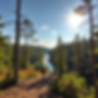 Magnificent Exploring the Manistee River Trail: A Comprehensive Guide to Backpacking Magnificent Exploring the Manistee River Trail: A Comprehensive Guide to Backpacking