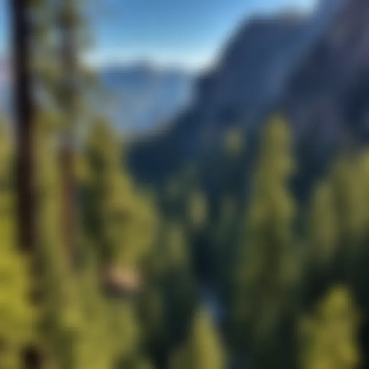 Magnificent Exploring the Multifaceted Landscape of Northwest California