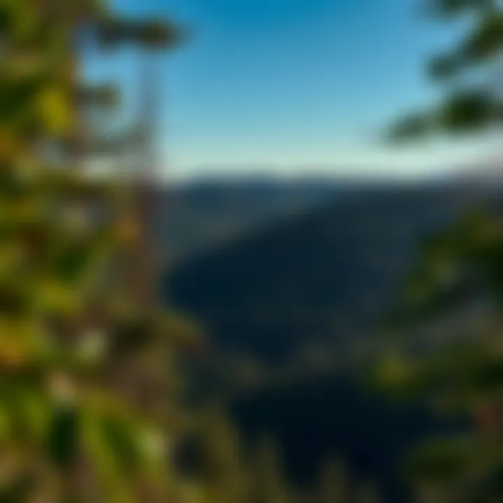 Magnificent Exploring the Rough Ridge Trail: A Comprehensive Guide