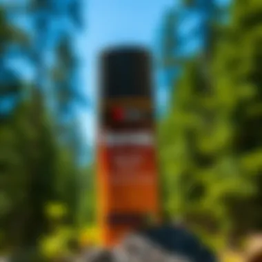 Magnificent The Application and Benefits of Borate Wood Treatment Spray Magnificent The Application and Benefits of Borate Wood Treatment Spray
