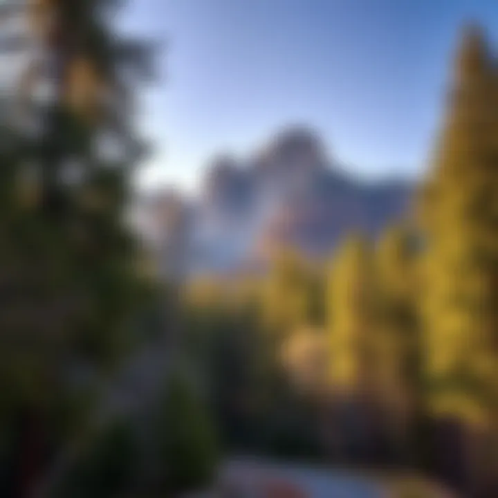 Magnificent The Establishment of Sequoia National Park: A Historical Perspective