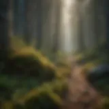 A vibrant forest illustrating different stages of ecological succession