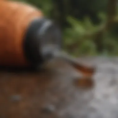 Tools for tick removal
