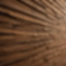 Close-up view of cedar shake siding showcasing rich texture