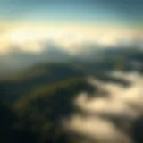 Visualization of carbon dioxide emissions from various sources