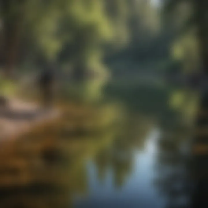 Angler casting a line into a serene lake