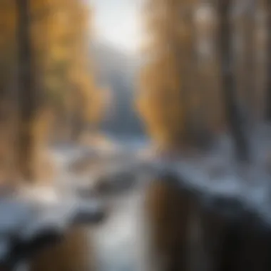 Winter wildlife in the vicinity of Beaver Creek, emphasizing ecological balance