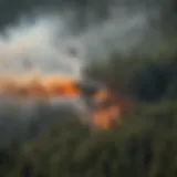 A helicopter conducting aerial firefighting in a forested area