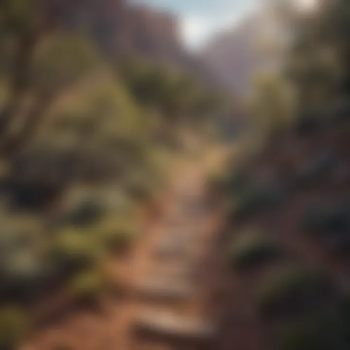 Hiking trail in the Grand Canyon surrounded by BLM managed areas.