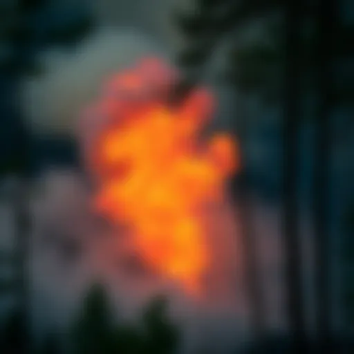 Innovative foam application in wildfire suppression