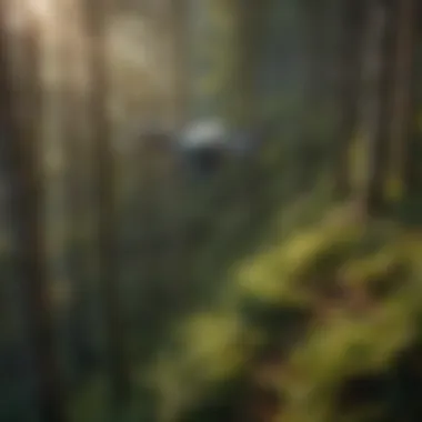 Drone in Flight Over Lush Forestry Aerial view of a drone flying over a forest.