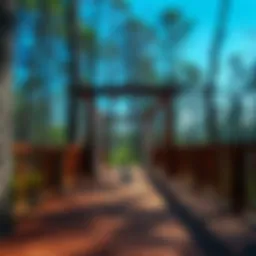 Comprehensive Overview of Deck Wood Preservatives Introduction