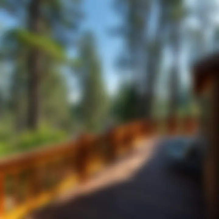 Comprehensive Overview of Deck Wood Preservatives Summary