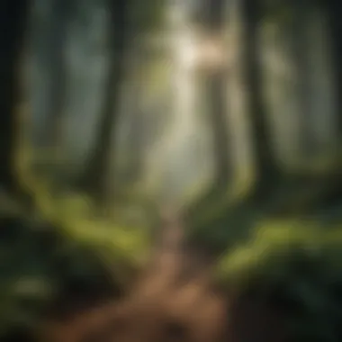 Biodiversity in Forest Ecosystems Lush forest landscape showcasing biodiversity