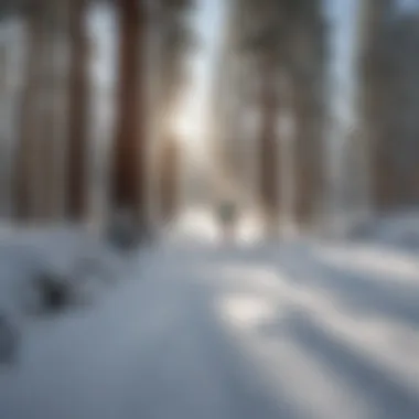 Skiers enjoying fresh snow in Big Bear