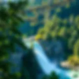 Dam Strategy: A Comprehensive Framework for Sustainable Forestry Management Introduction