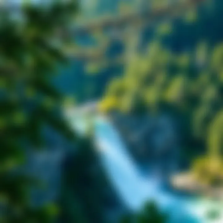 Dam Strategy: A Comprehensive Framework for Sustainable Forestry Management Introduction