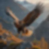 Golden eagle soaring through a mountainous landscape