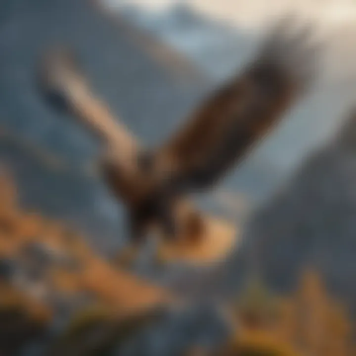 Golden eagle soaring through a mountainous landscape