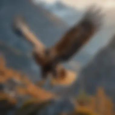 Golden Eagle in Flight Golden eagle soaring through a mountainous landscape