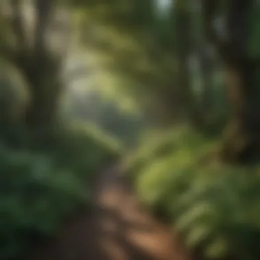 Lush greenery surrounding Dingford Creek Trailhead