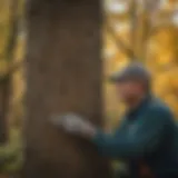 A certified arborist assessing a tree's health