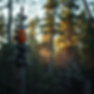 Effective Strategies for Pine Beetle Prevention Summary Effective Strategies for Pine Beetle Prevention Summary