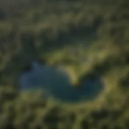 Aerial view of a diverse ecosystem showcasing various endangered habitats