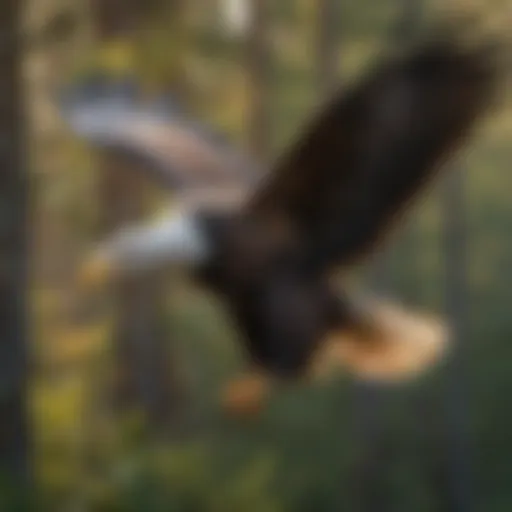 A majestic bald eagle soaring above a wilderness area