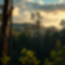 Environmental Degradation: A Comprehensive Examination Introduction