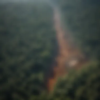 Aerial view of a deforested area highlighting the stark contrast between cleared land and remaining forest.