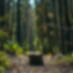 Exploration of Ohio Public Land: Insights on Access, Management, and Stewardship Introduction