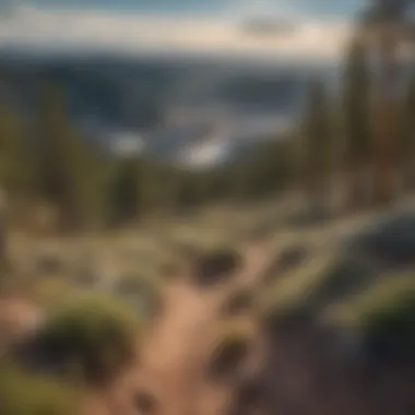 Panoramic view of Albuquerque ski resort landscape