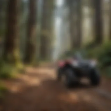 Scenic view of a winding ATV trail through redwood trees