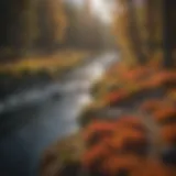 Stunning view of the Deschutes River surrounded by autumn foliage in Bend.