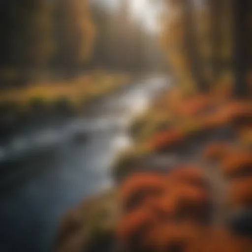 Stunning view of the Deschutes River surrounded by autumn foliage in Bend.