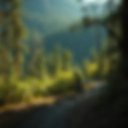 Exploring Biking Opportunities in West Virginia Introduction