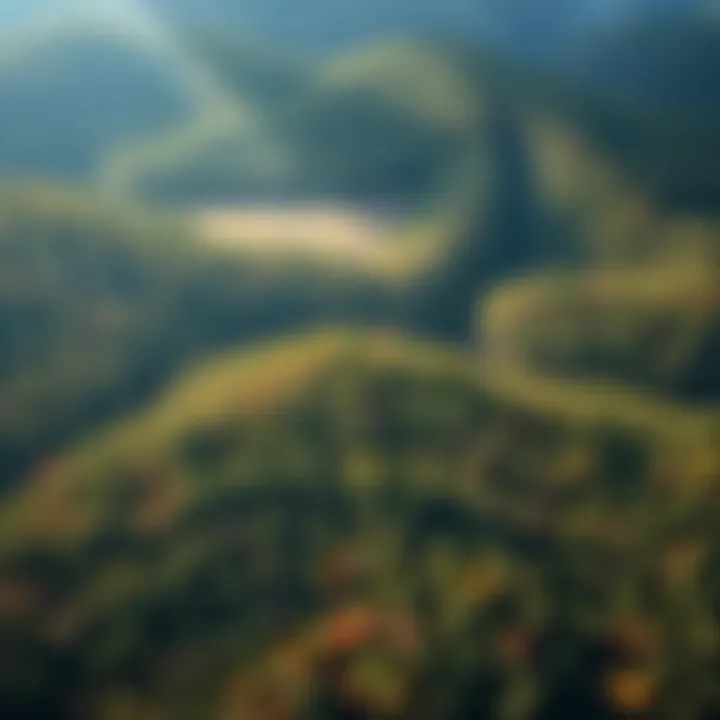 Aerial Perspective of Biodiversity Hotspots An aerial view of a forest landscape illustrating biodiversity hotspots