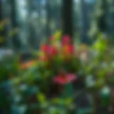 A vibrant forest showcasing diverse plant species