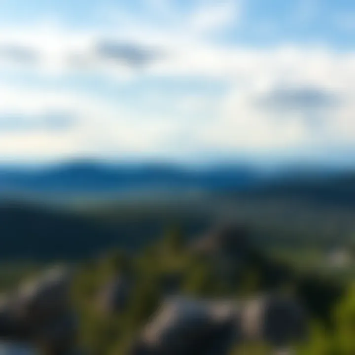 Breathtaking panoramic landscape of the Black Hills from a mountain overlook