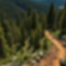 Scenic view of a winding bike trail through the lush Black Hills forest