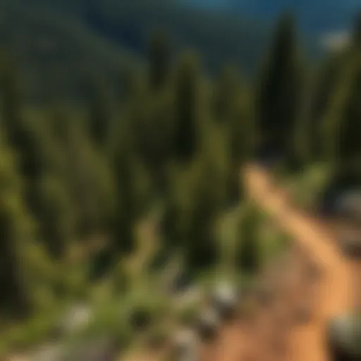 Scenic view of a winding bike trail through the lush Black Hills forest