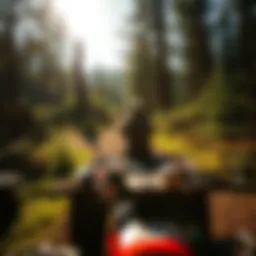 Scenic view of an ATV traversing a lush campground