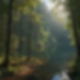 A serene view of Clackamas Lake surrounded by lush forests