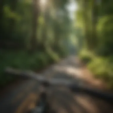 Scenic view of a Cleveland bike trail surrounded by nature