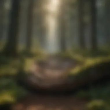 Sound waves visually represented in a serene forest setting