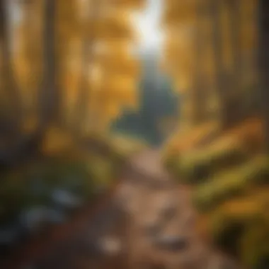 Trail winding through Cross Creek with vibrant autumn foliage