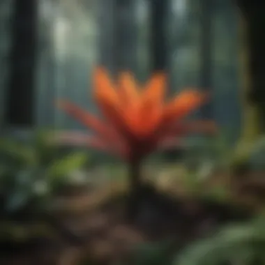 Unique Flora of Dark Sites Close-up view of unique flora thriving in dark site conditions within the forest.